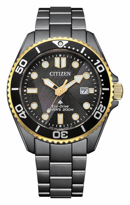 Promaster Dive LIGHT in BLACK Black Dial Stainless Steel Bracelet BN0264-53E | Citizen Classic