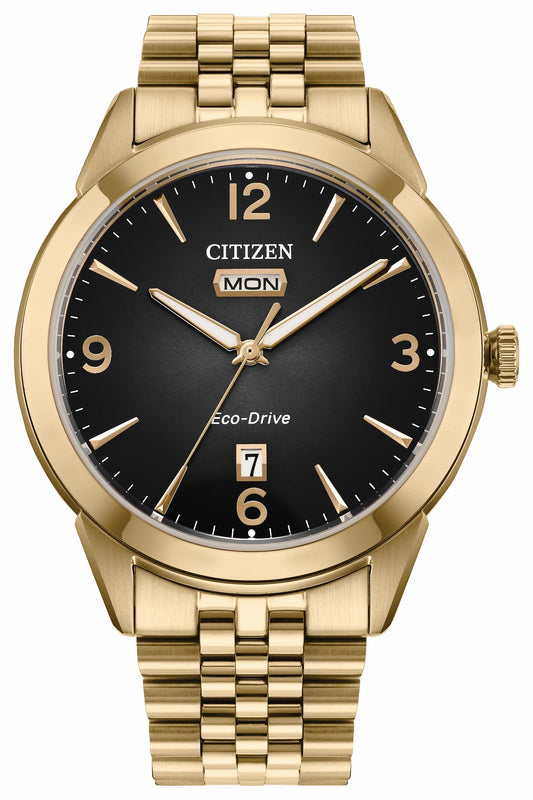 Rolan Black Dial Stainless Steel Bracelet AW0152-58H | Citizen Recommended
