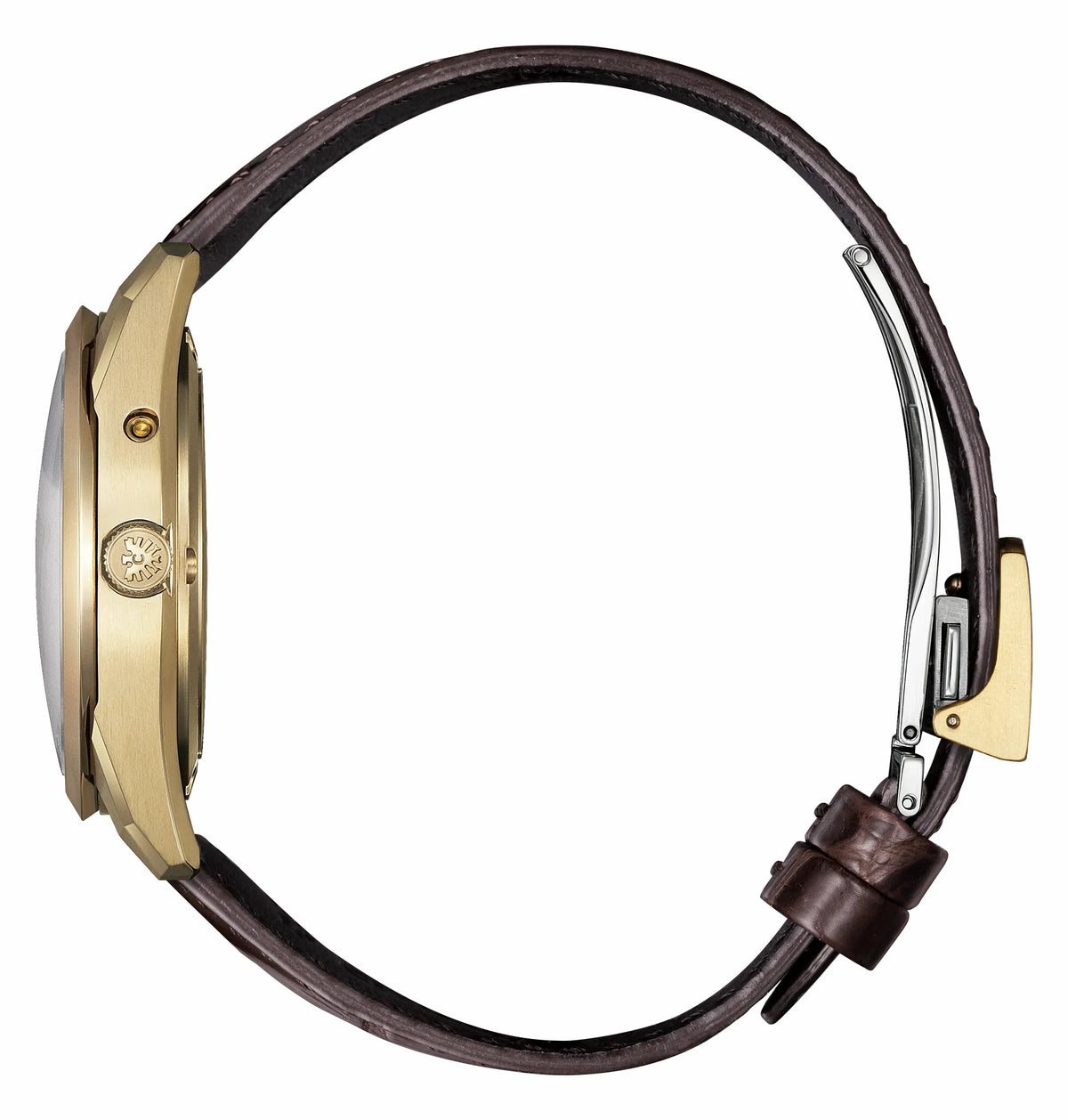 The CITIZEN Brown Dial Crocodile Strap AQ4103-16W | Citizen Essential