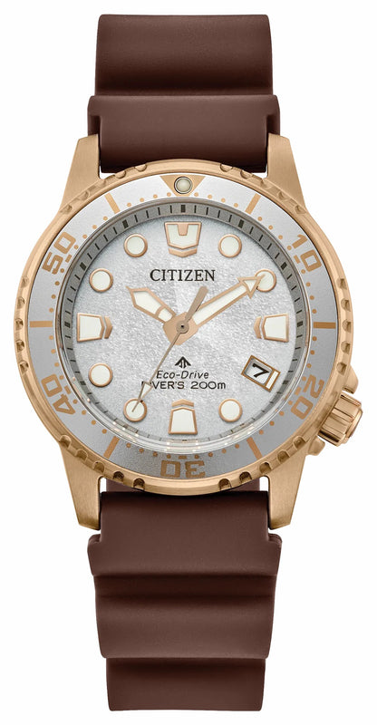 Promaster Dive Silver-Tone Dial Polyurethane Strap EO2022-02A | Citizen Deals