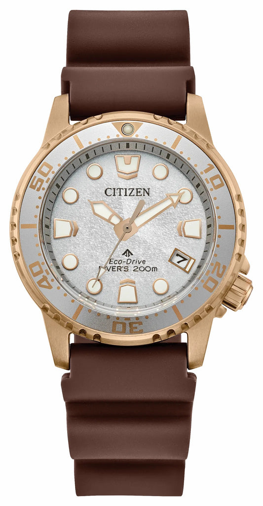 Promaster Dive Silver-Tone Dial Polyurethane Strap EO2022-02A | Citizen Deals