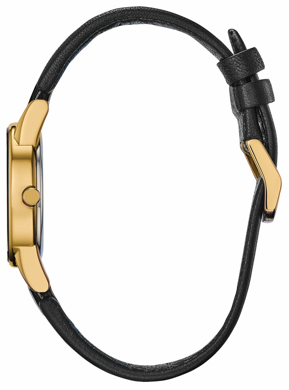 Citizen Axiom Ladies Eco-Drive Gold Black Dial Watch | Citizen Signature